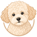 Ask Ollie logo